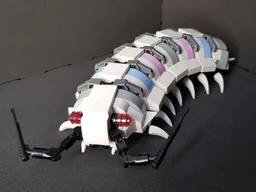 Isopod