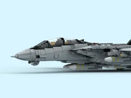 F-14 Tomcat