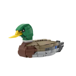 Mallard