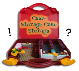 Case: Storage Case Storage