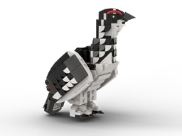 Ptarmigan