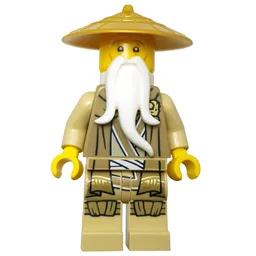 Master Wu, Dark Tan Robe
