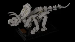 Albertaceratops Fossil