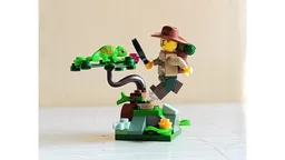 71025-7 Vignette