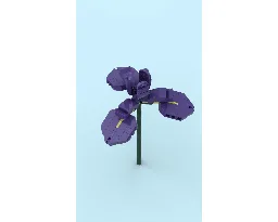 Iris Flower