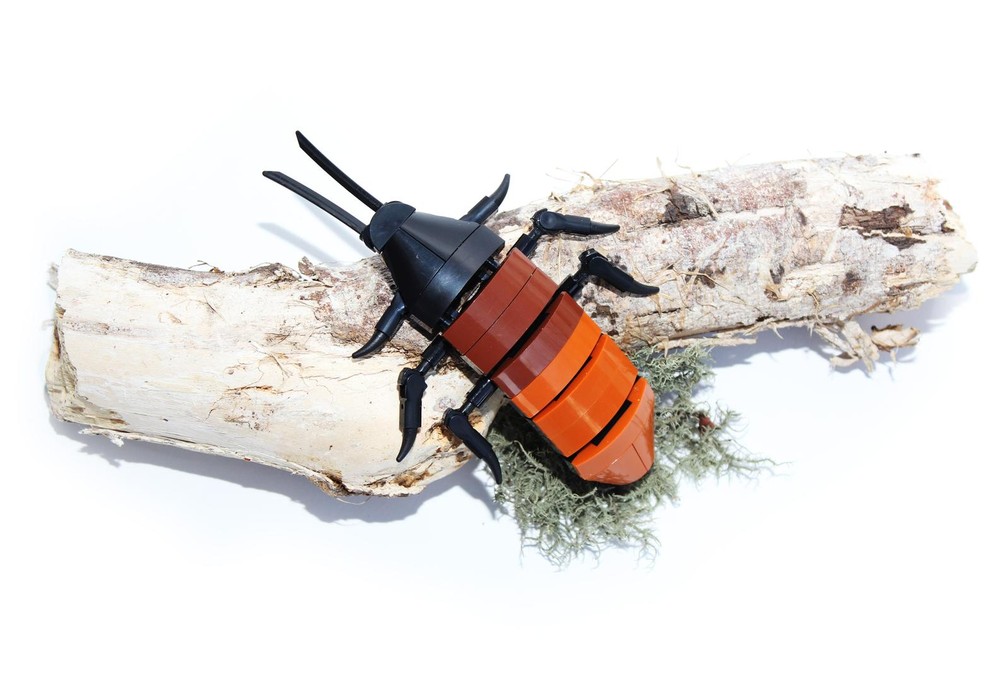 Lego Madagascar Hissing Cockroach