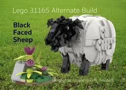 31165 Black-faced Sheep