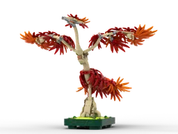 Maple Phoenix