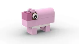 pig