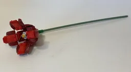 Red Poppy