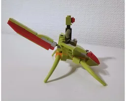 Insect