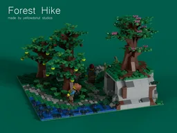 Forest Hike