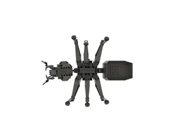 Ant