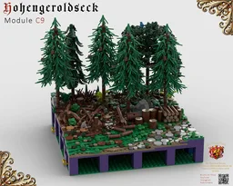 C9 Castle Hohengeroldseck - Logging camp (Landscape Expansaion 1)
