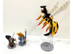 Insect Collection