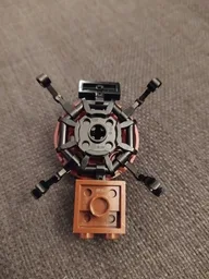 11943 Tortoise
