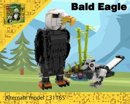 Bald Eagle