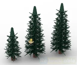 Pine trees
