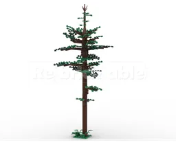 Pine Forest Tree