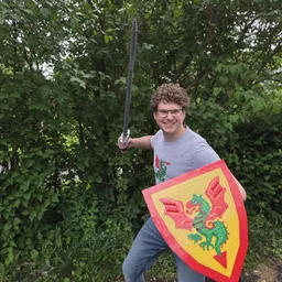 Dragon Knights Shield