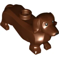 Animal, Dog, Dachshund, Black Eyes Nose and Print / Reddish Brown