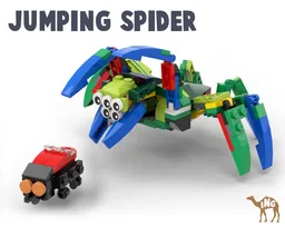 Jumping Spider