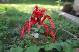 (G2) - The Red Ant Buggy