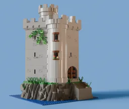 Medieval Library/Monastery