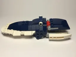 31088 cuttlefish