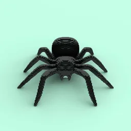 Large Spider