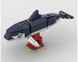 Dusky dolphin