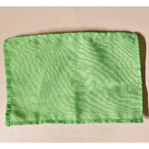 Lego Duplo Blanket 4 x 6 / Medium Green