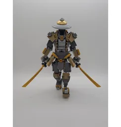 The Ronin