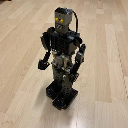 Remote Controlled Walking Robot