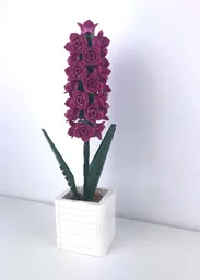 Hyacinth (BT013)