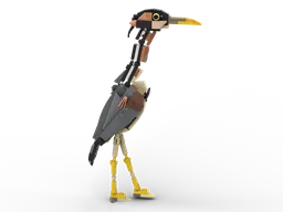 Purple Heron