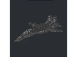 F-14 Tomcat