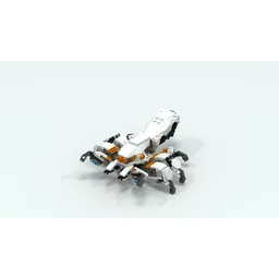 Tarantula