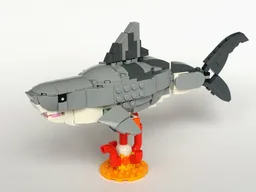 31163: Shark