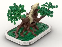Gnarly bonsai