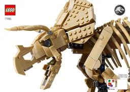 Dinosaur Fossils: Triceratops