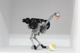 A timid ostrich