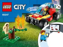 Forest Fire