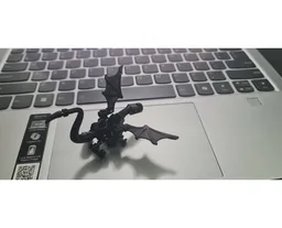 Little Black Dragon