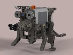 rat