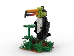 Toucan