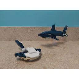 Hammerhead Shark