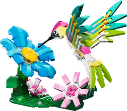 Wild Animals: Colorful Hummingbird