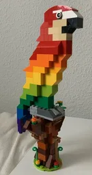 Macaw Parrot