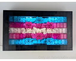 Trans Flag